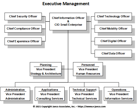 iot manager expanding role of it corporate titles hierarchy chart